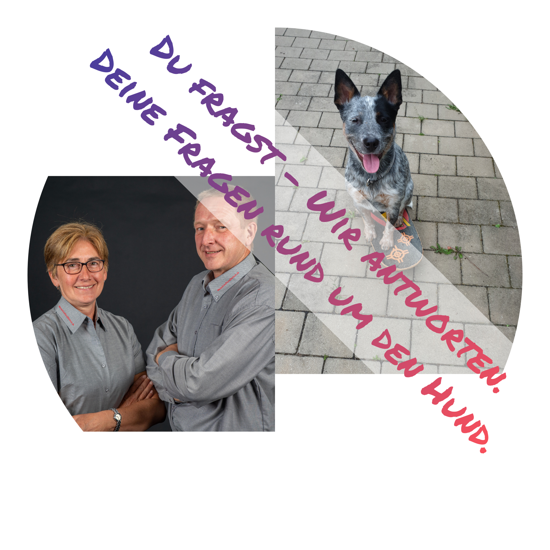 Frage - wir antworten Hundetrainer Jens Meinert